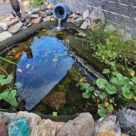 Ferienwohnung Otschik Glan-Munchweiler المظهر الخارجي الصورة